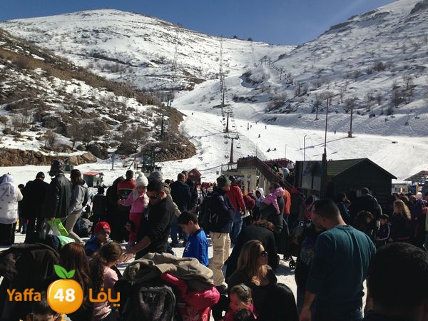 jabalelskheikhlud (67).JPG